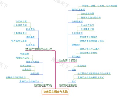 协商民主概念与实践