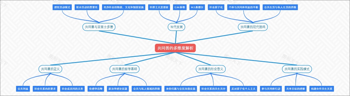 共同善的多维度解析