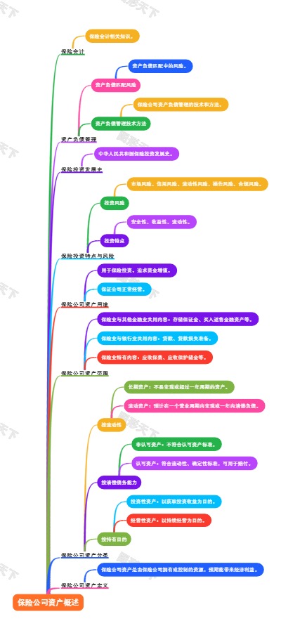 保险公司资产概述