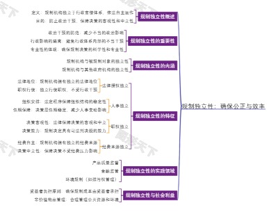 规制独立性：确保公正与效率