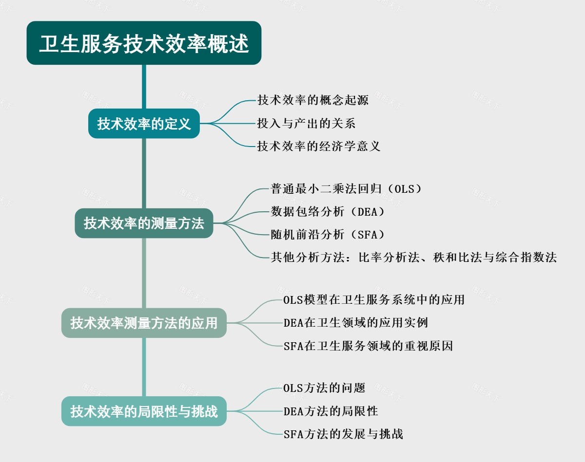 卫生服务技术效率概述