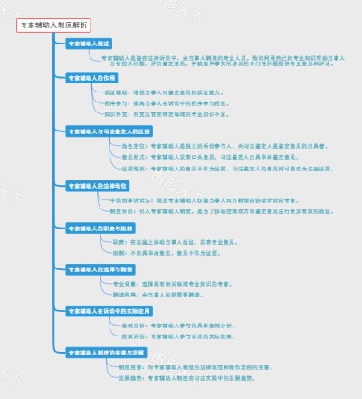 专家辅助人制度解析