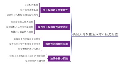 侵害人身权益造成财产损失赔偿