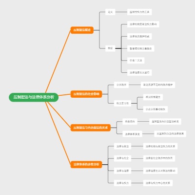 压制型法与法律体系分析