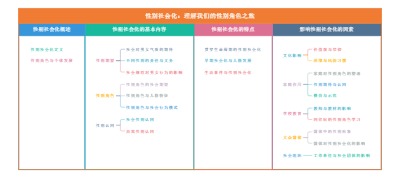 性别社会化：理解我们的性别角色之旅