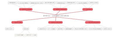 新韦伯主义：公共行政的专业化与规范化