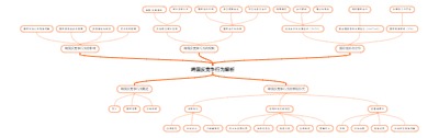 跨国反竞争行为解析