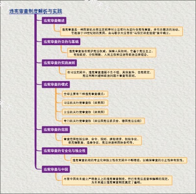 违宪审查制度解析与实践