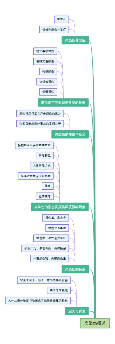 高坠伤概述