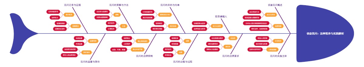 侦查讯问：法律程序与实践解析