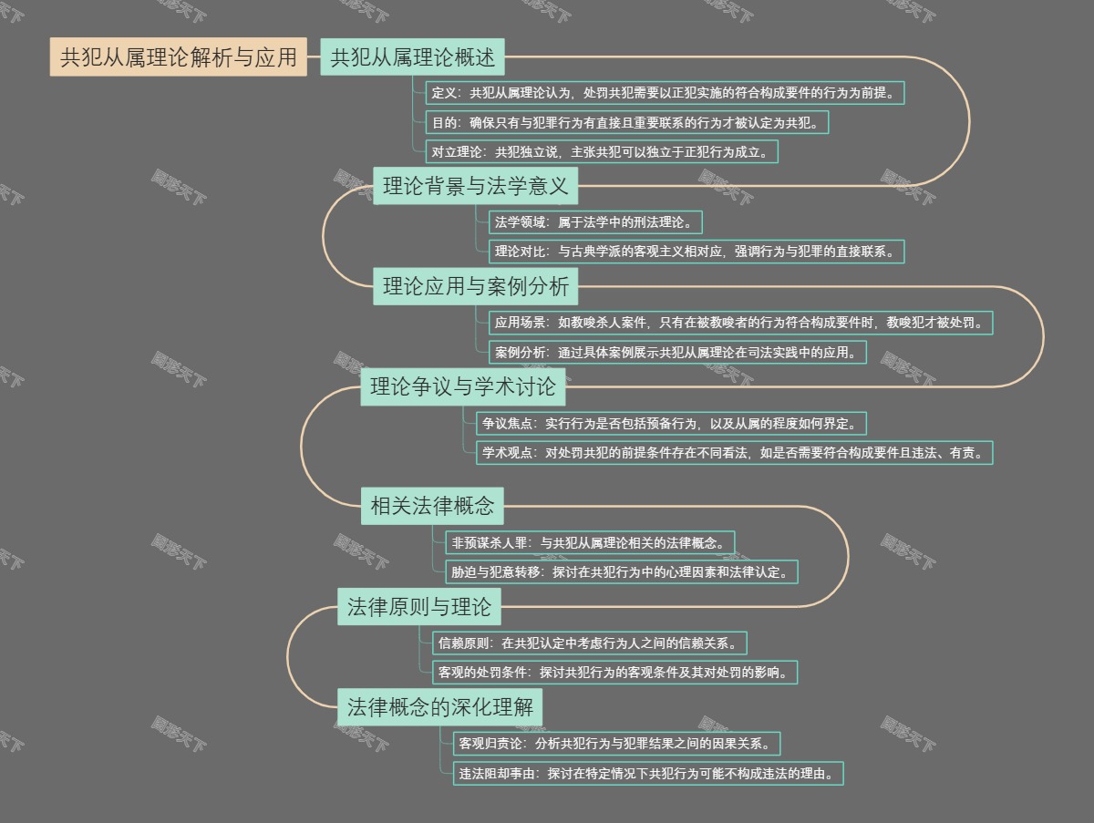 共犯从属理论解析与应用