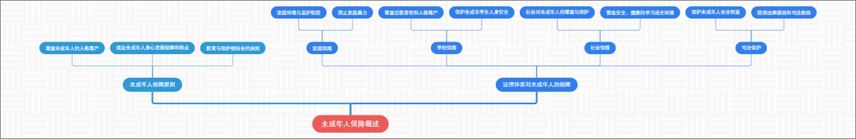 未成年人保障概述