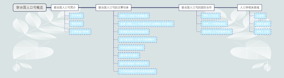 联合国人口司概览