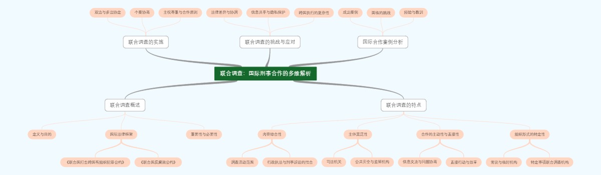 联合调查：国际刑事合作的多维解析