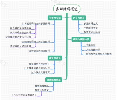 多重障碍概述