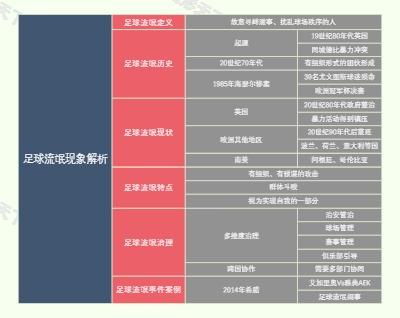 足球流氓现象解析