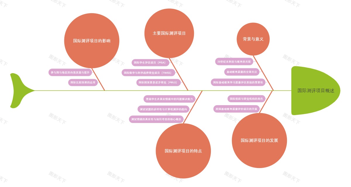 国际测评项目概述