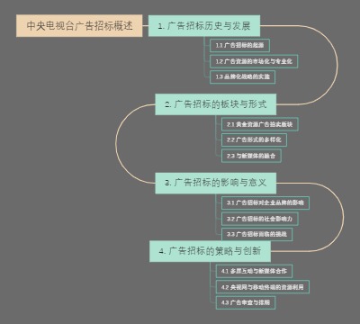 中央电视台广告招标概述