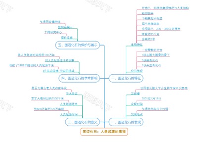 图迈化石：人类起源的奥秘