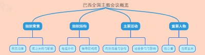 巴西全国主教会议概览