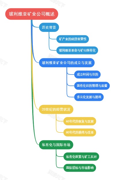 玻利维亚矿业公司概述