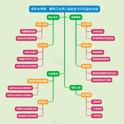 青年毛利党：新西兰毛利人的社会与文化复兴运动