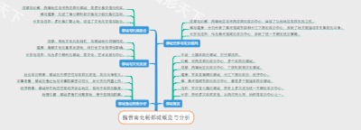 魏晋南北朝都城概览与分析