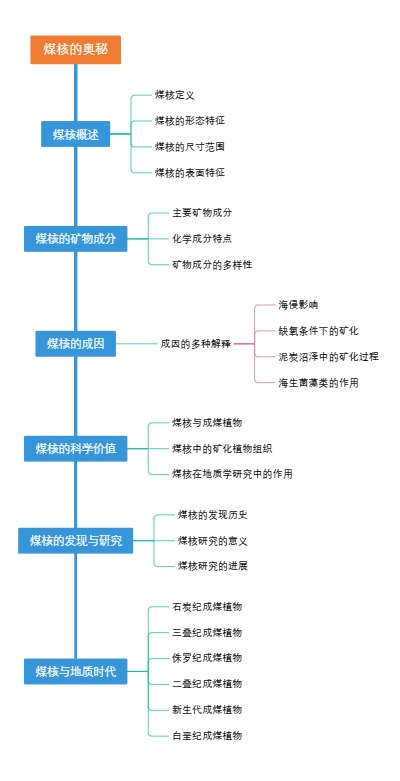 煤核的奥秘