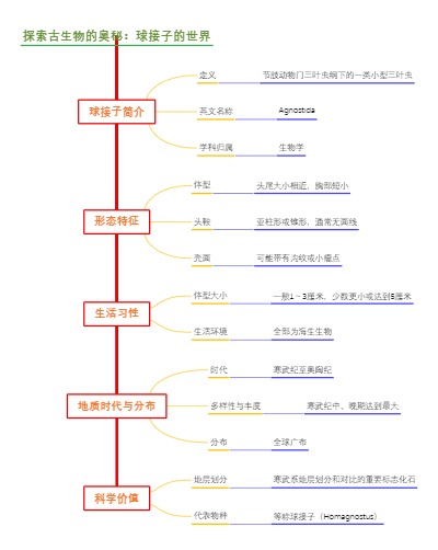 探索古生物的奥秘：球接子的世界