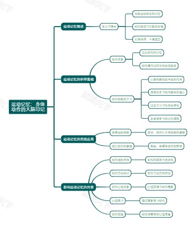 运动记忆：身体动作的大脑印记