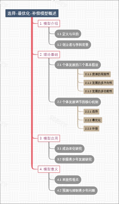 选择-最优化-补偿模型概述