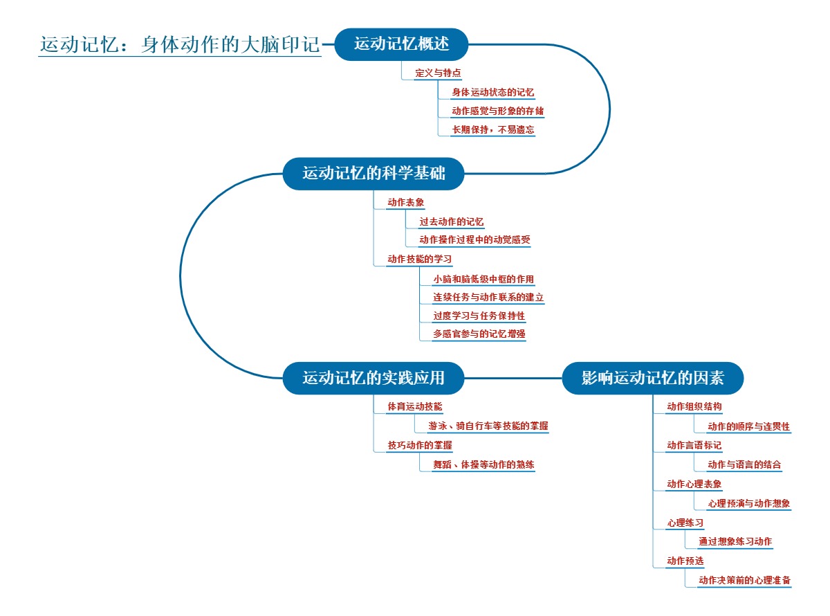 运动记忆：身体动作的大脑印记