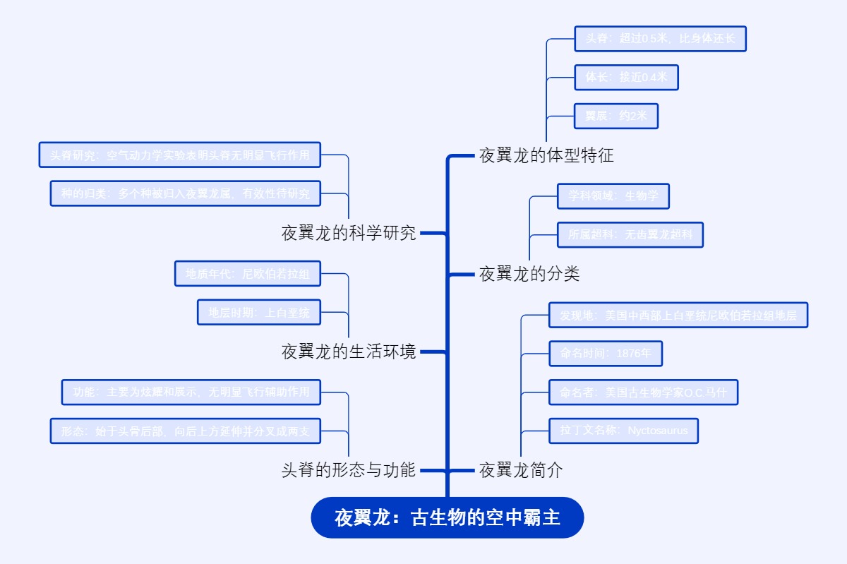 夜翼龙：古生物的空中霸主