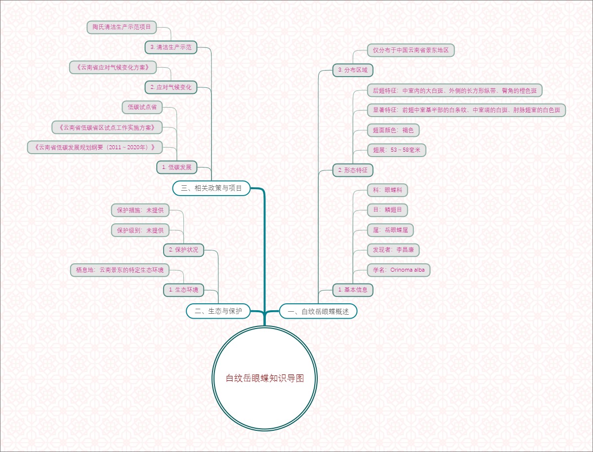 白纹岳眼蝶知识导图