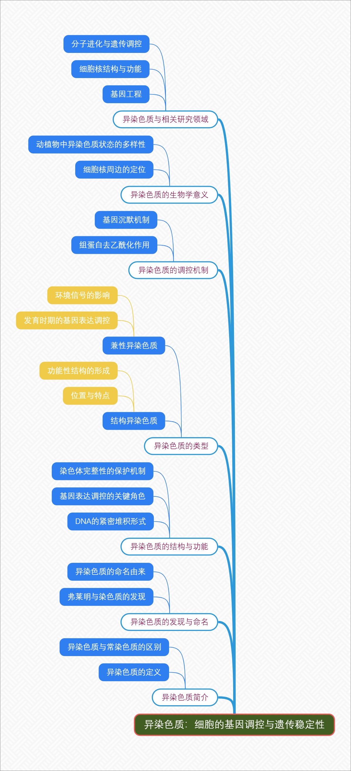 异染色质：细胞的基因调控与遗传稳定性