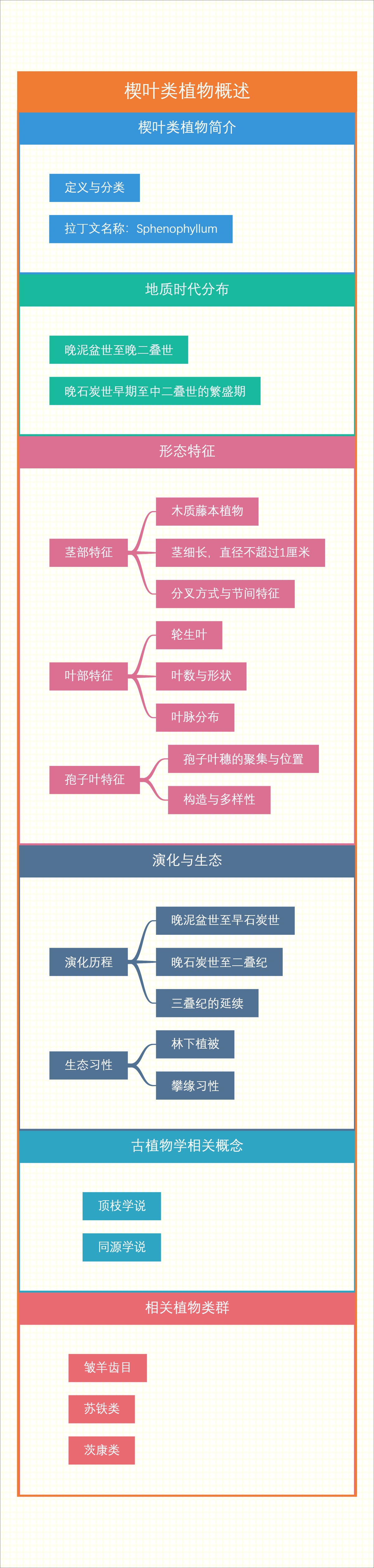 楔叶类植物概述