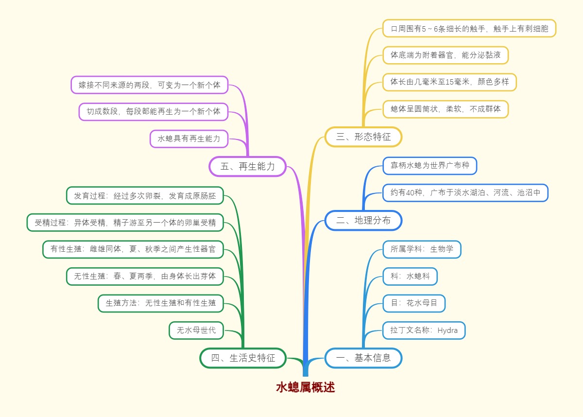 水螅属概述