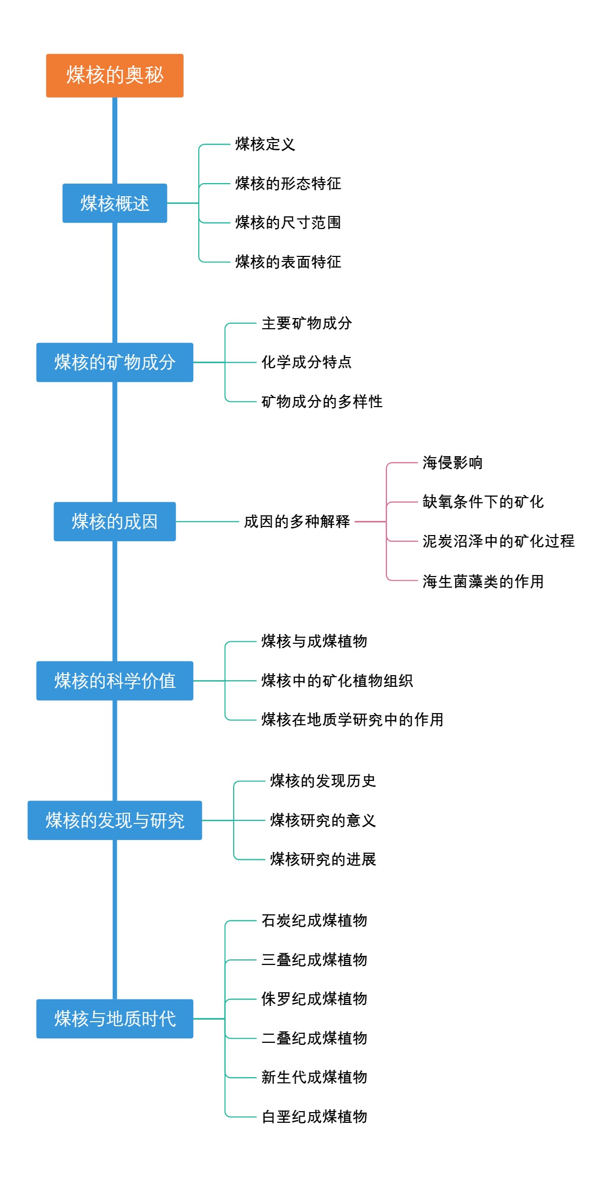 煤核的奥秘