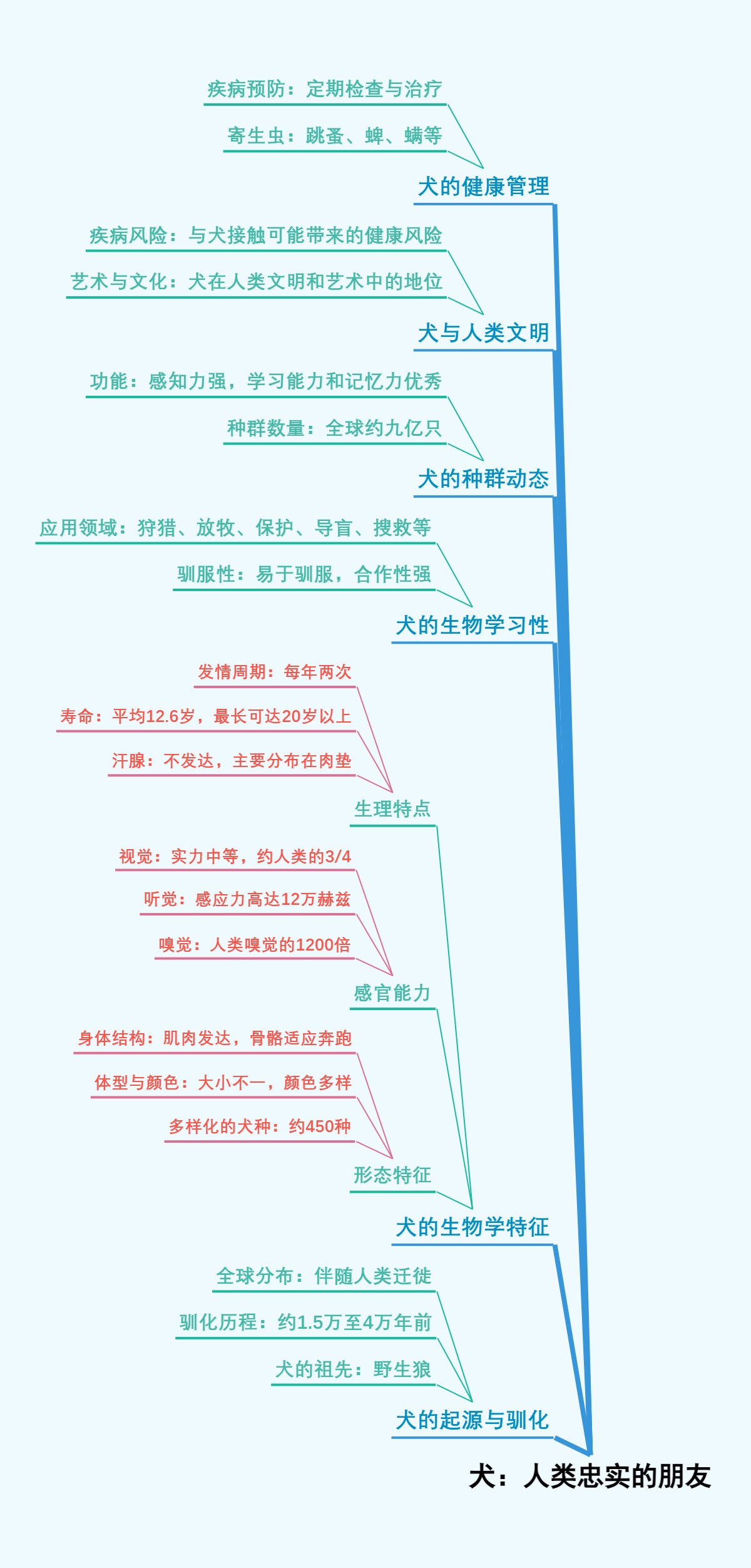 犬：人类忠实的朋友