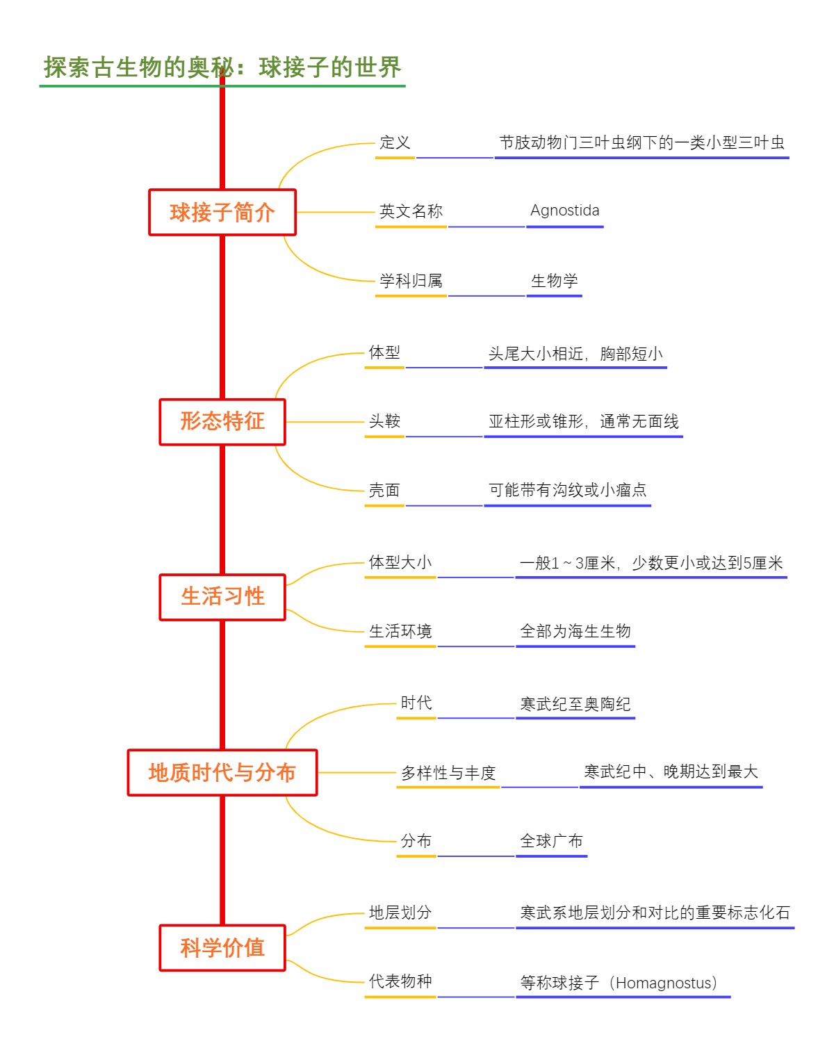 探索古生物的奥秘：球接子的世界