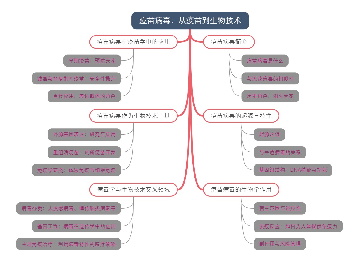 痘苗病毒：从疫苗到生物技术