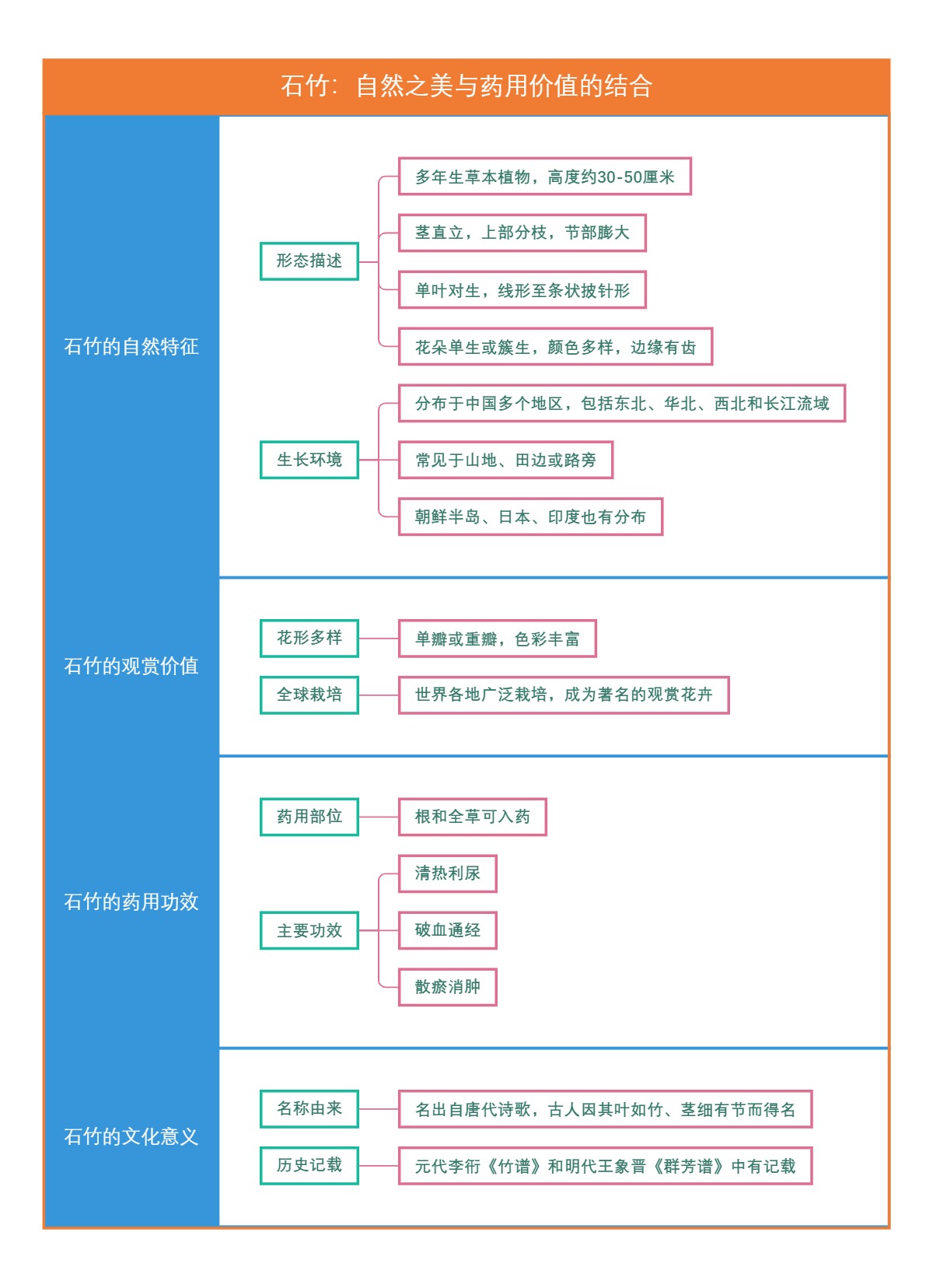 石竹：自然之美与药用价值的结合