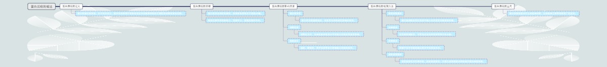 蛋白质吸附概述