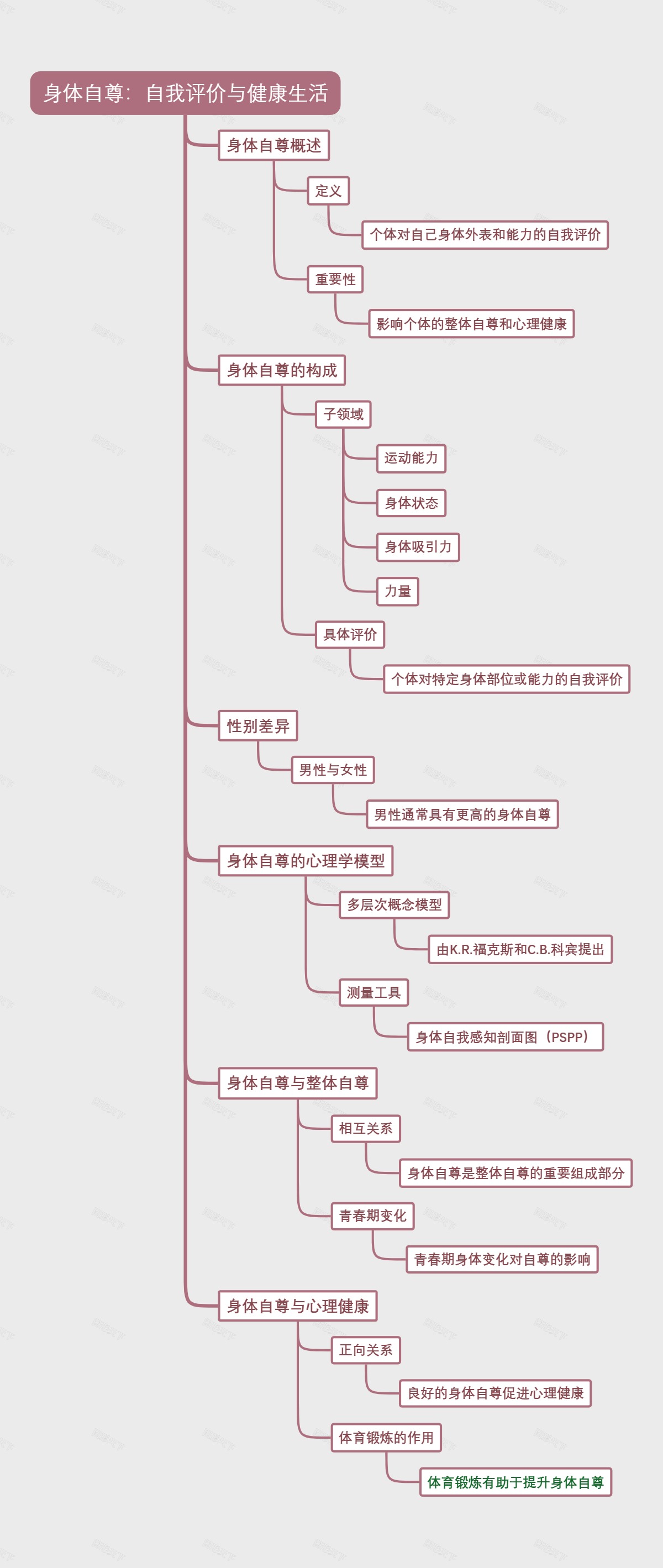 身体自尊：自我评价与健康生活