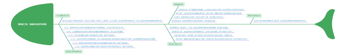 骨组织工程：构建未来医疗的桥梁