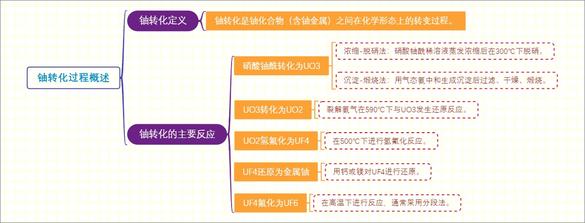 铀转化过程概述