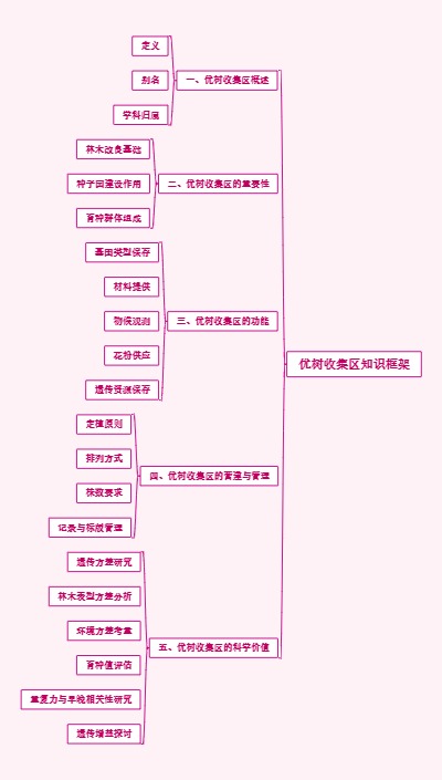 优树收集区知识框架