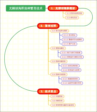 光棘球海胆苗种繁育技术