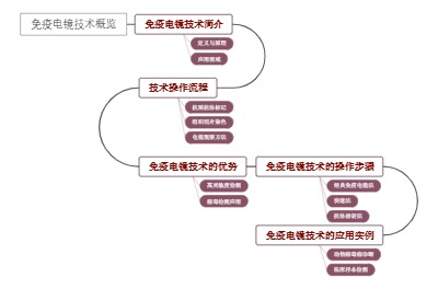 免疫电镜技术概览