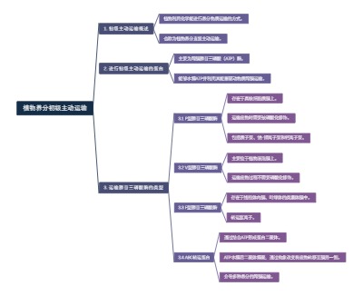 植物养分初级主动运输